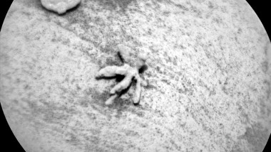 NASA Rover Snaps Photo of Tiny and Delicate Mineral Flower on Mars