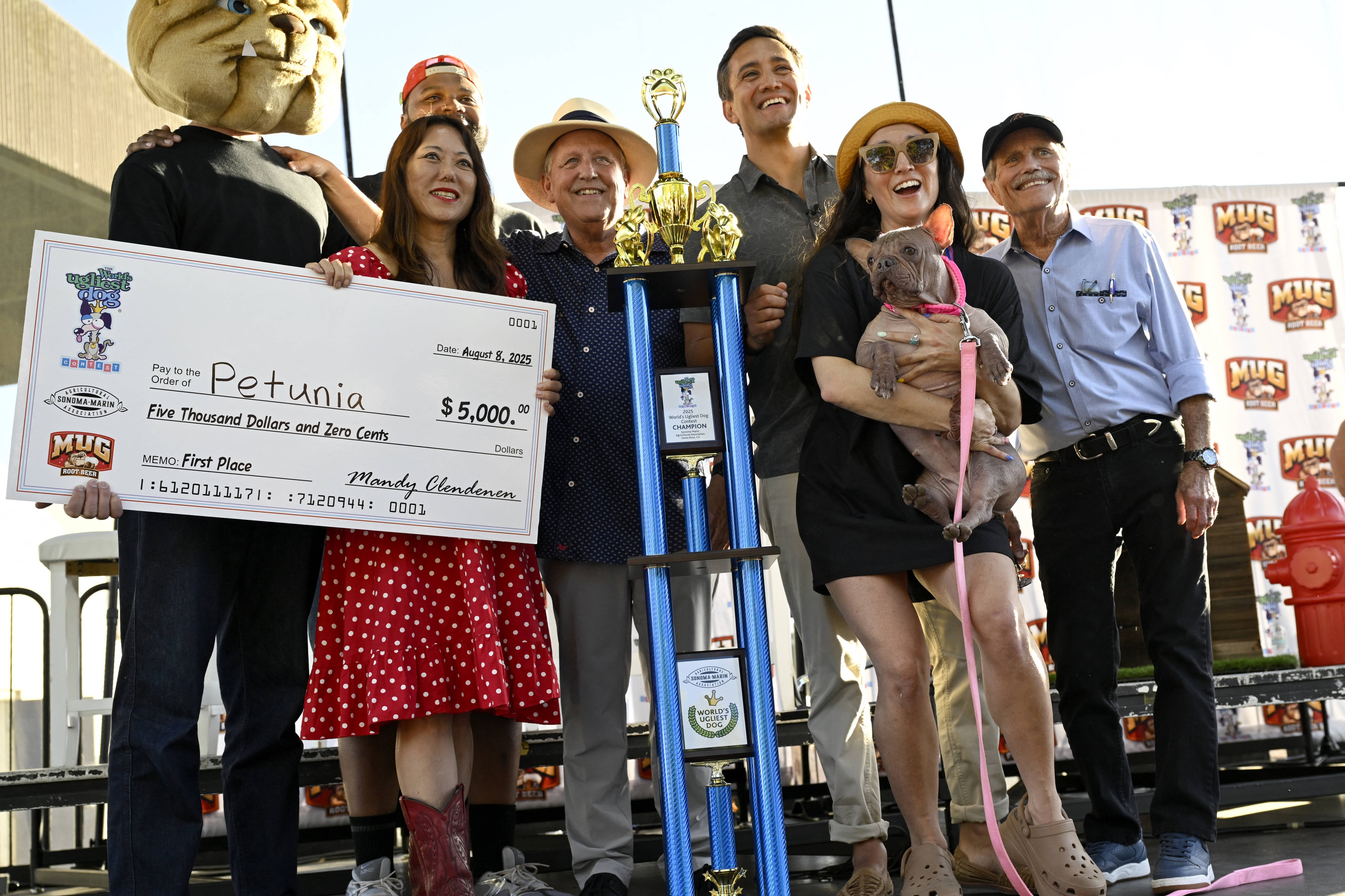 Un bulldog francez fara par a fost declarat „cel mai urat caine din lume”. Petunia a castigat un premiu de 5.000 de dolari