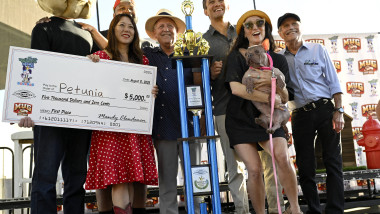 Wiinners of World's Ugliest Dog' contest in California