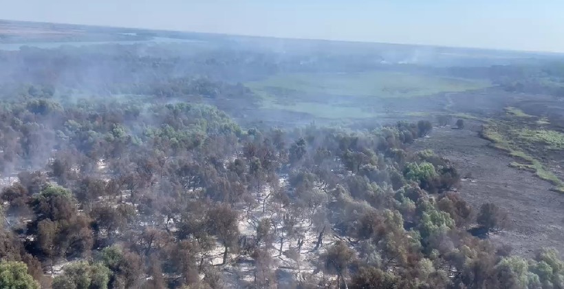 Incendii în Delta Dunării: Sunt afectate aproape 70 de hectare de pădure şi vegetaţie. Un alt foc a izbucnit în apropiere de Plauru