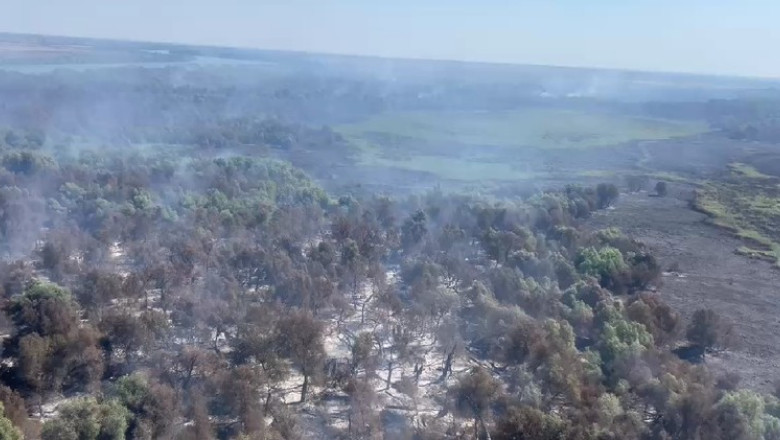 VIDEO  Incendii în Delta Dunării. Pompierii încearcă stingerea focului din aer și de pe apă