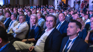 cosmin petrescu alina gorghiu