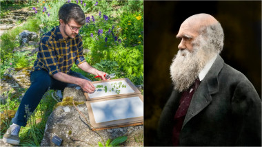 botanistul britanic Matthew Jeffery / Charles Darwin