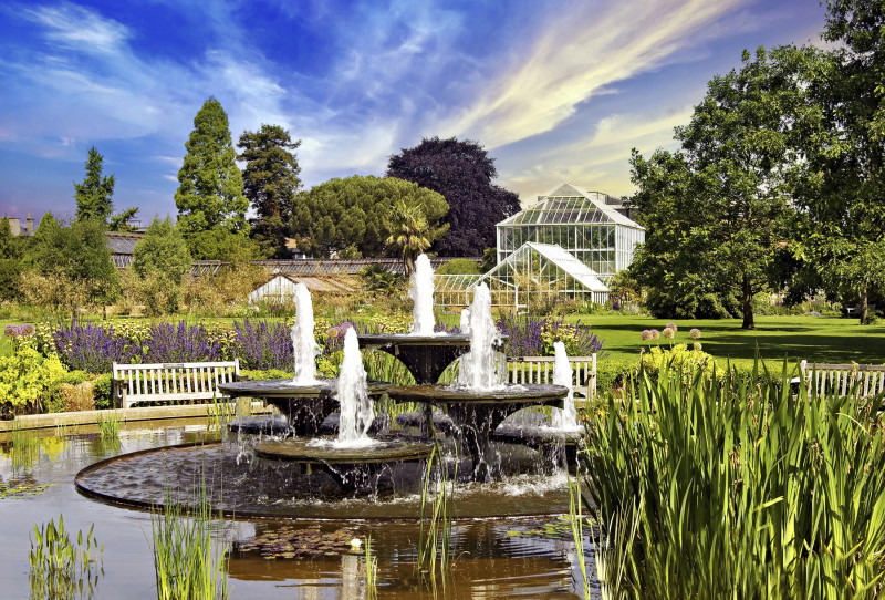grădina-botanică-cambridge