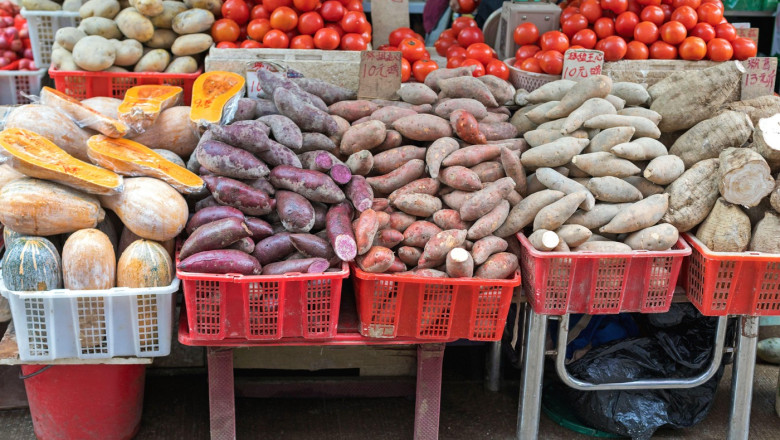Cartofii și roșiile au un strămoș comun, iar asta poate ajuta la revoluționarea agriculturii: tomate la suprafață, tuberculi în pământ