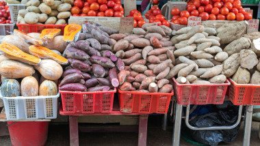 Potatoes Variety