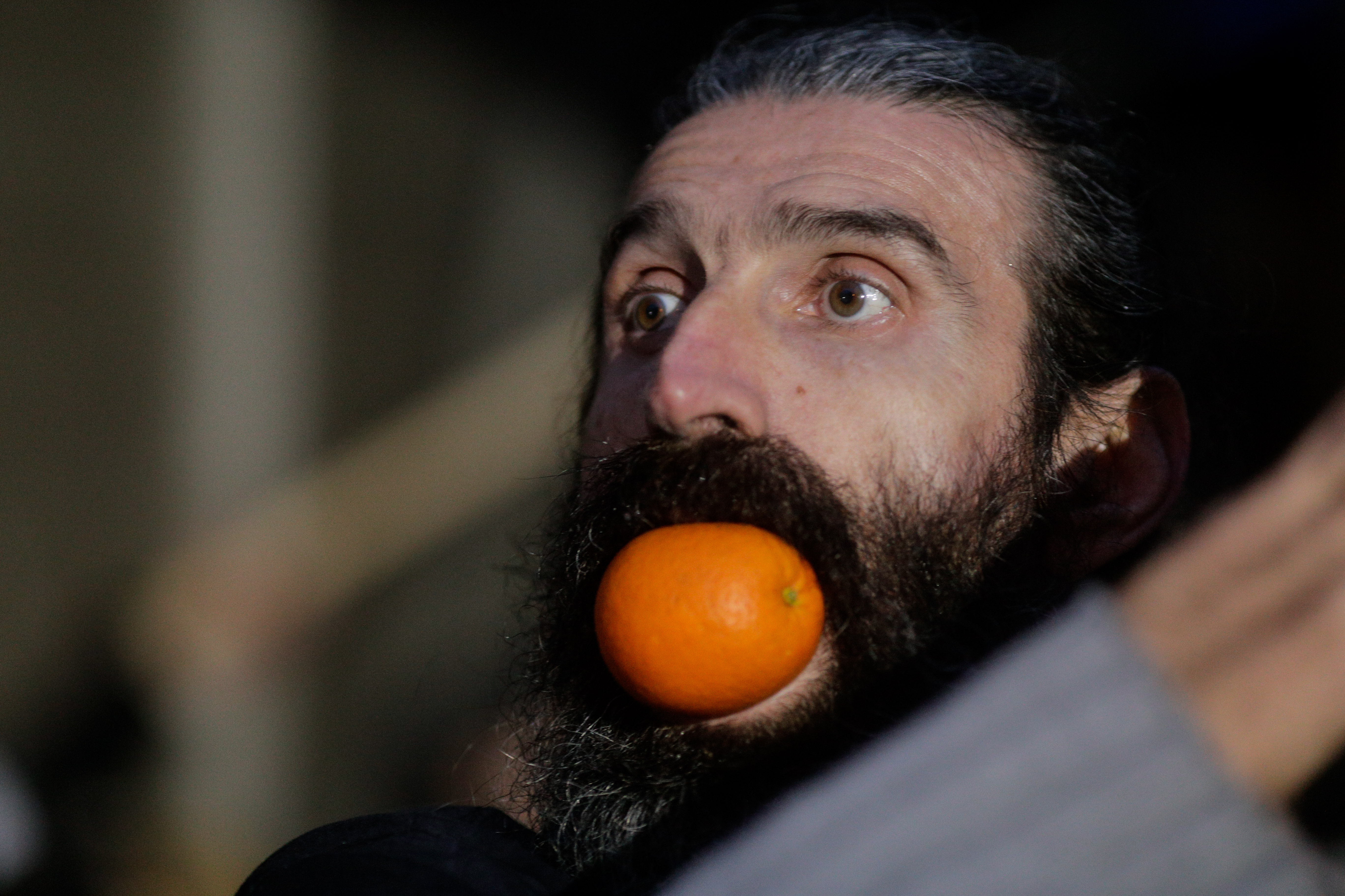 Stegarul Dac a fost dat jos „în siguranță” din copacul în care se urcase, la Penitenciarul Rahova