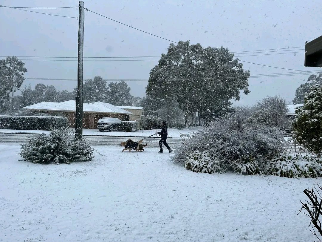 Fenomen rar, apărut în condiții meteo extreme: cel mai gros strat de zăpadă din ultimele decenii, în Australia