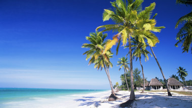 Palmieri Zanzibar