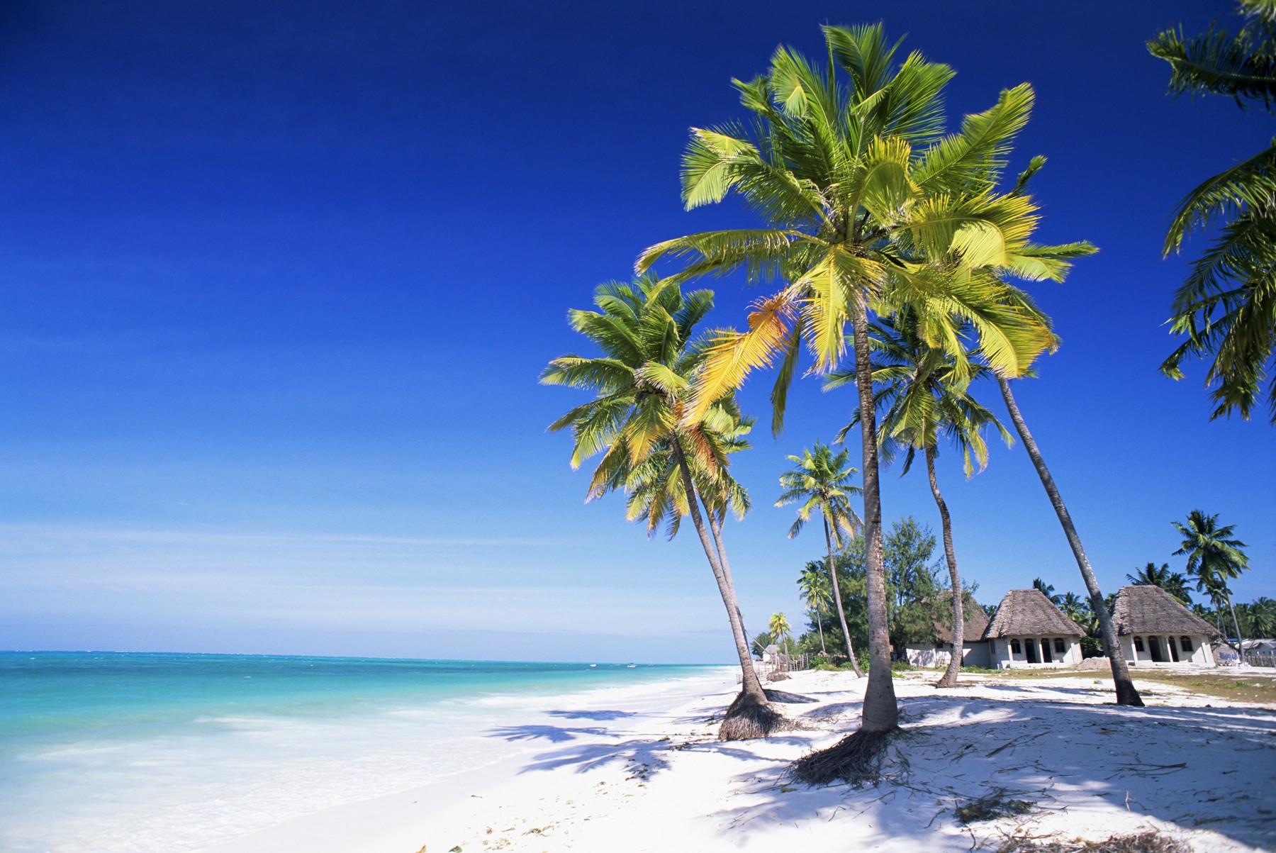 Peste 30 de persoane din Satu Mare, înșelate cu vacanțe fictive în Zanzibar. La cât se ridică prejudiciul