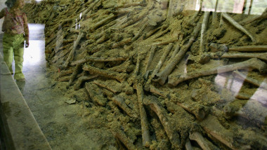 Nanjing Massacre Museum