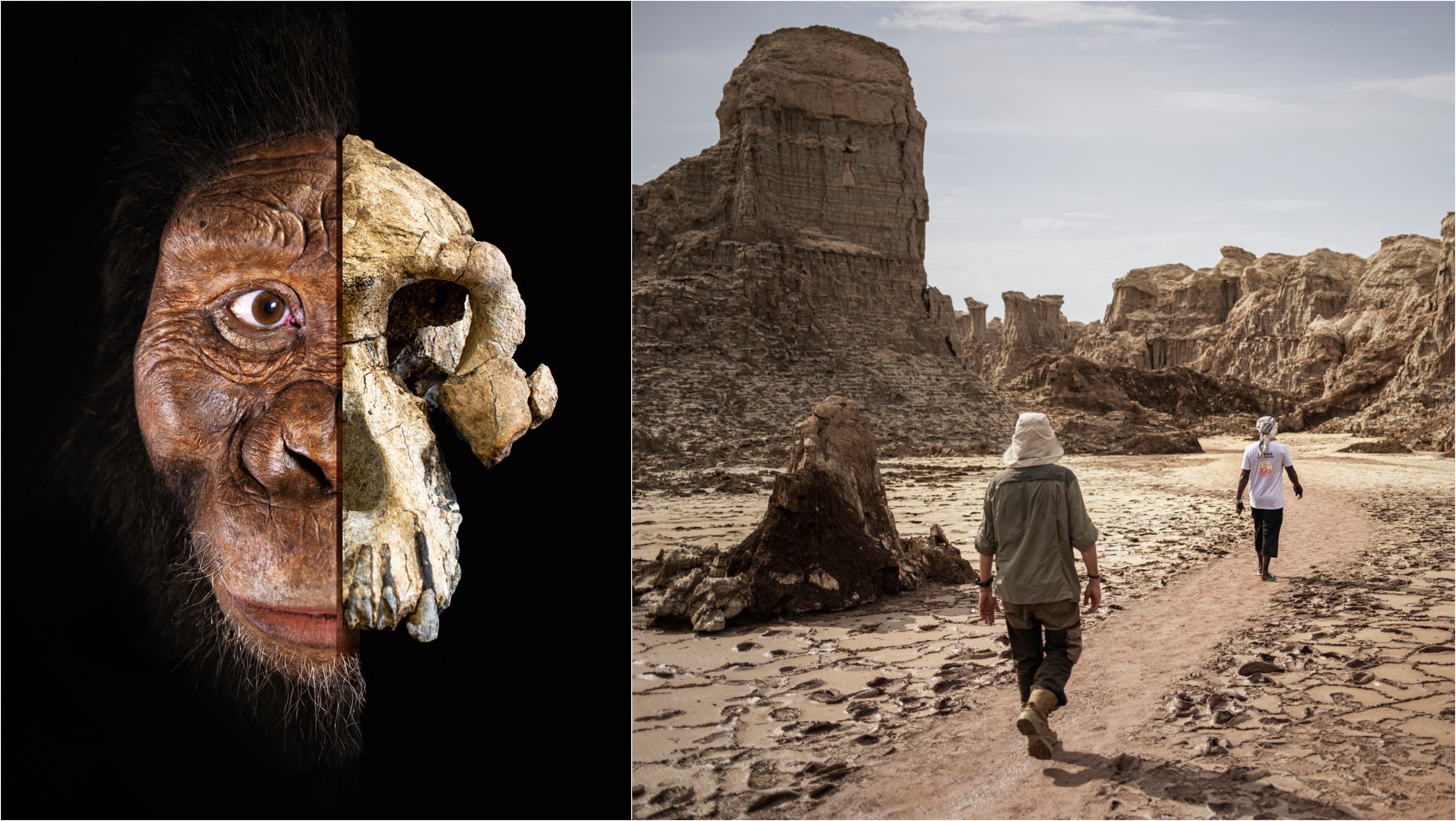 Cercetătorii au descoperit o nouă specie de hominizi care ar putea schimba povestea evoluției omului