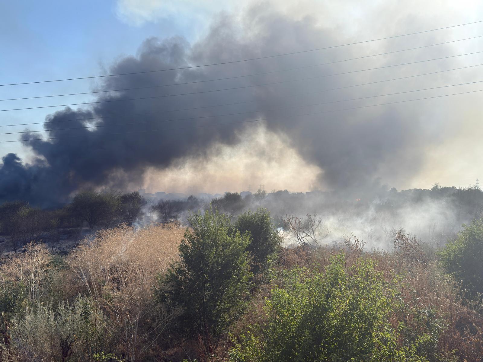Incendiu de vegetație într-o comună din Ilfov. ISU: „Există pericolul de propagare la case. Se evacuează persoanele din zona afectată”