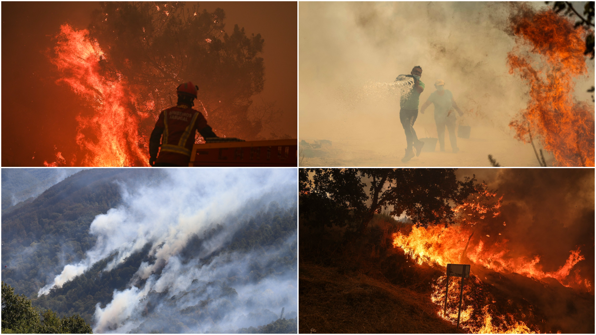 Incendiile de vegetație devastează sudul Europei. Peste 150.000 de hectare arse în Spania, evacuări masive în Grecia