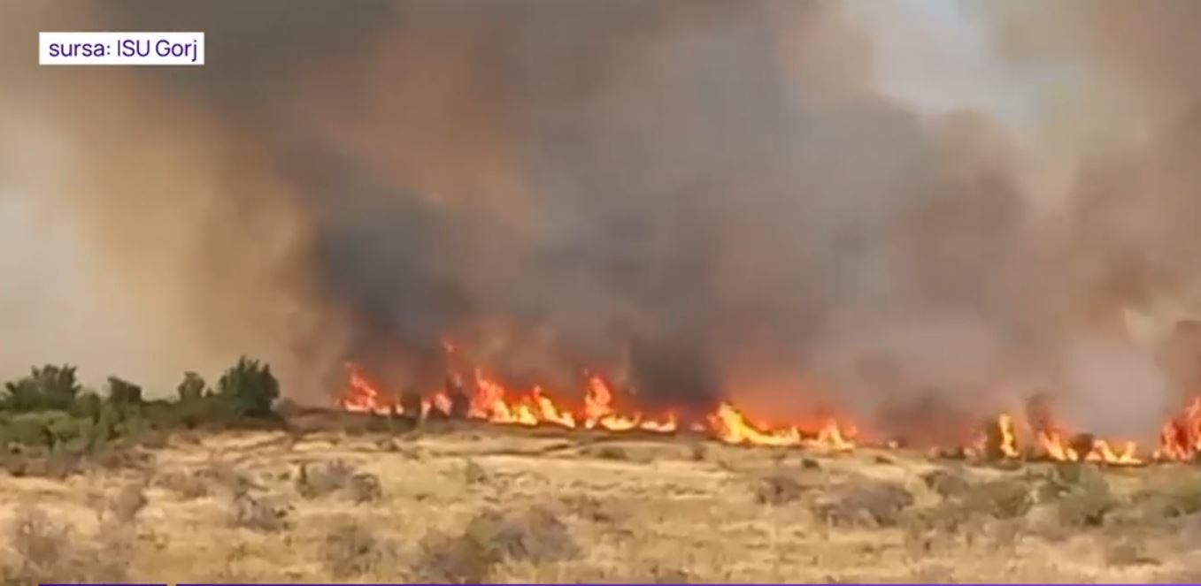 VIDEO Incendiu de amploare lângă Târgu Jiu: Focul s-a extins pe 200 de hectare de teren şi a afectat construcţia unei ferme