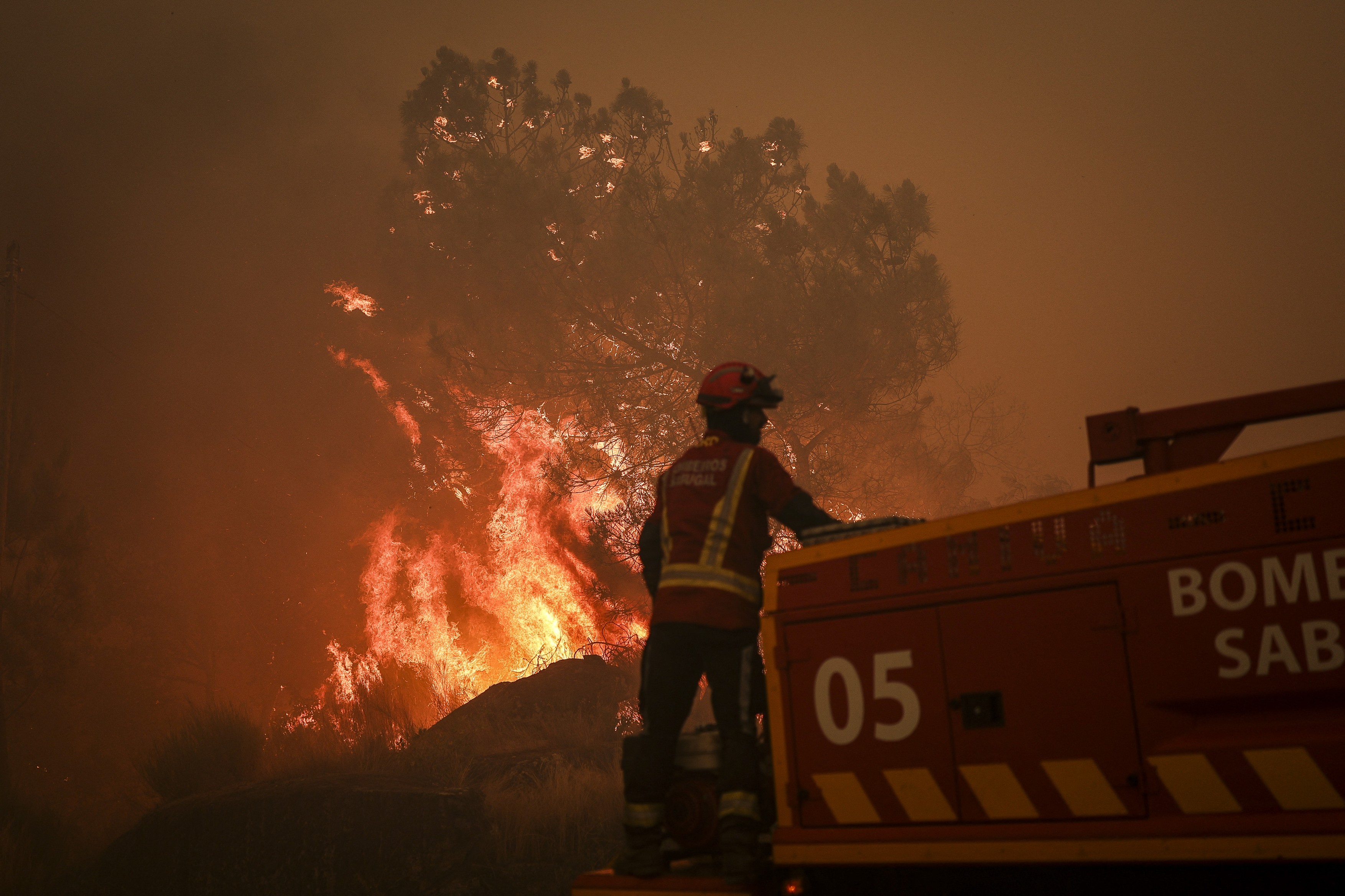 Incendii de vegetație uriașe în Portugalia: Lisabona cere ajutorul Europei