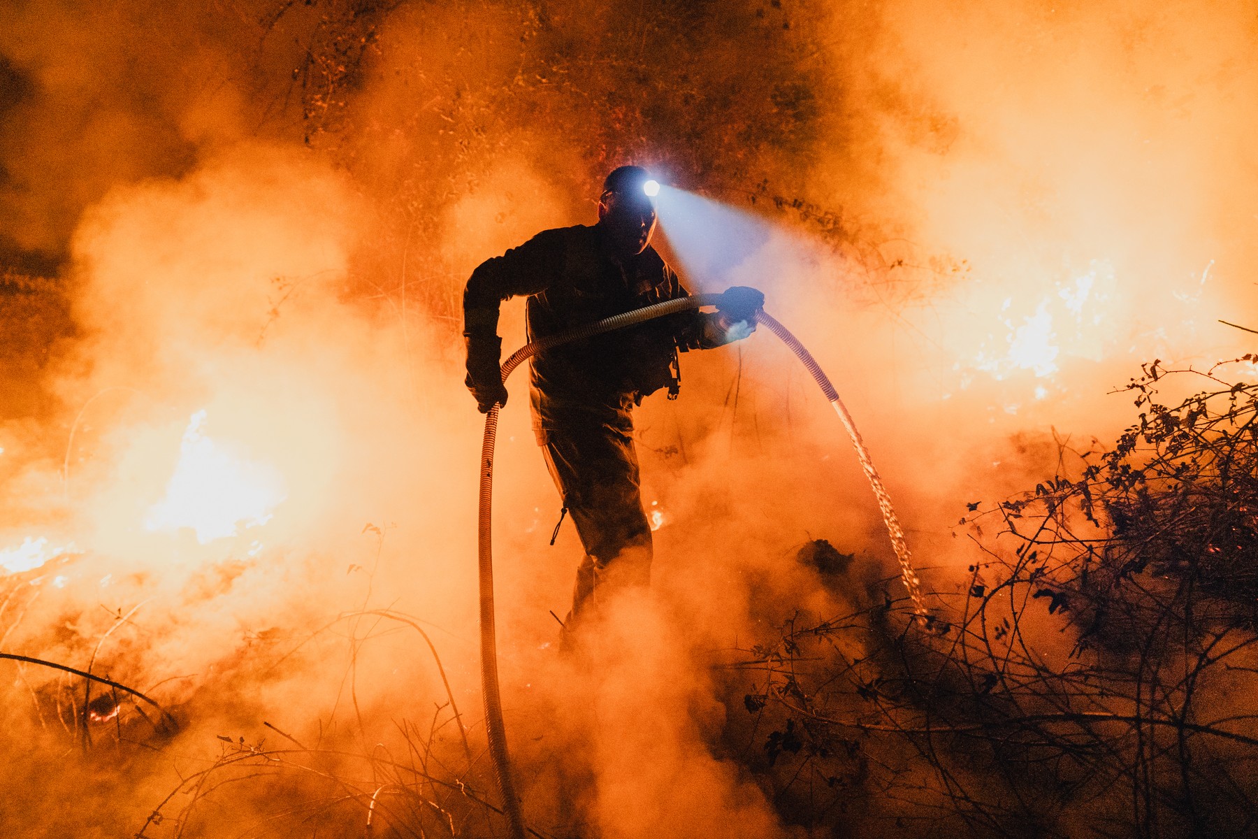 Incendiile de vegetație fac ravagii în Spania: peste 300.000 de hectare arse. Camino de Santiago, blocat pe zeci de kilometri