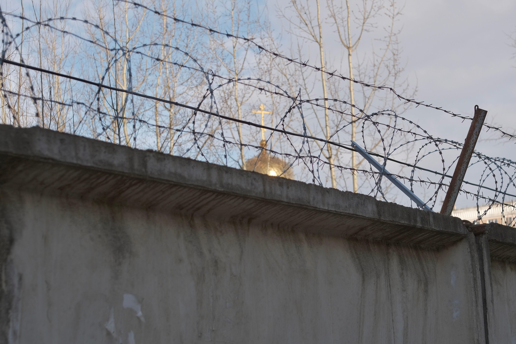 Infractori ruşi au încercat să introducă droguri într-o închisoare din Nijni Novgorod cu ajutorul unei pisici
