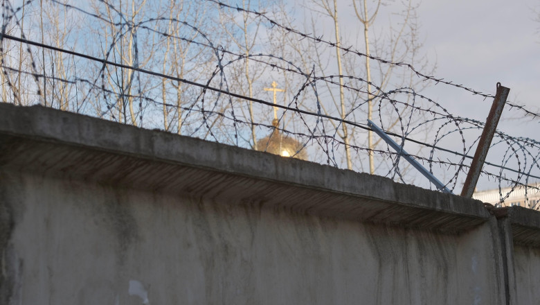 Infractori ruşi au încercat să introducă droguri într-o închisoare din Nijni Novgorod cu ajutorul unei pisici