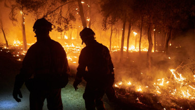 The INFONA Plan Is Upgraded To Level 2 Due To A Forest Fire In A Pine Forest In Carcastillo.