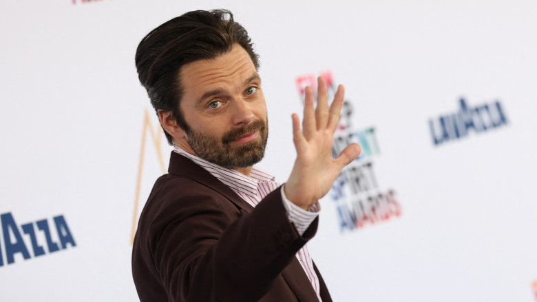 Sebastian Stan va juca în „Frankenstein în România”, regizat de Radu Jude. Filmul va include o închisoare CIA și legenda monstrului
