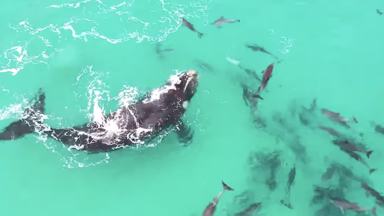 Screenshot 2025-08-13 at 13.48.47