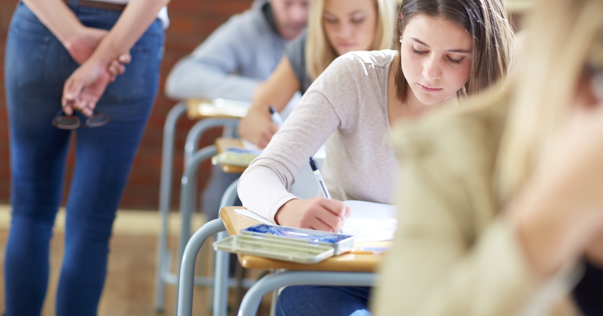 Subiecte BAC 2025: Proba la alegere a profilului în toamnă