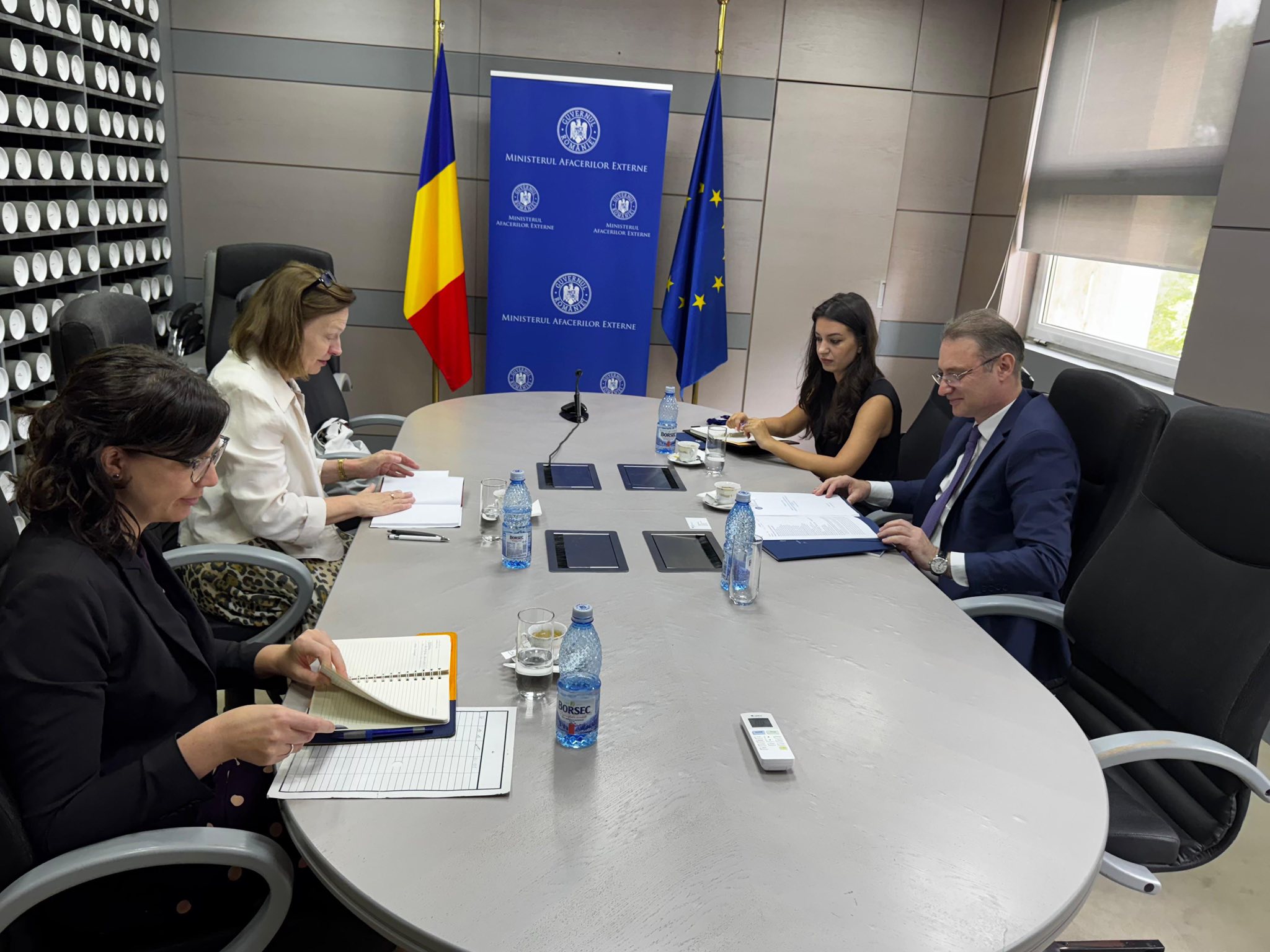 Germania susţine aderarea României la OCDE. Anunţul noului ambasador Angela Ganninger