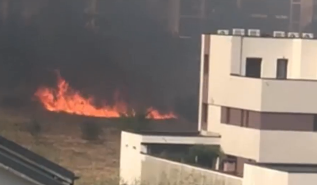 Incendiu masiv de vegetație în Chiajna. Sunt degajări mari de fum, a fost trimis mesaj RO-Alert