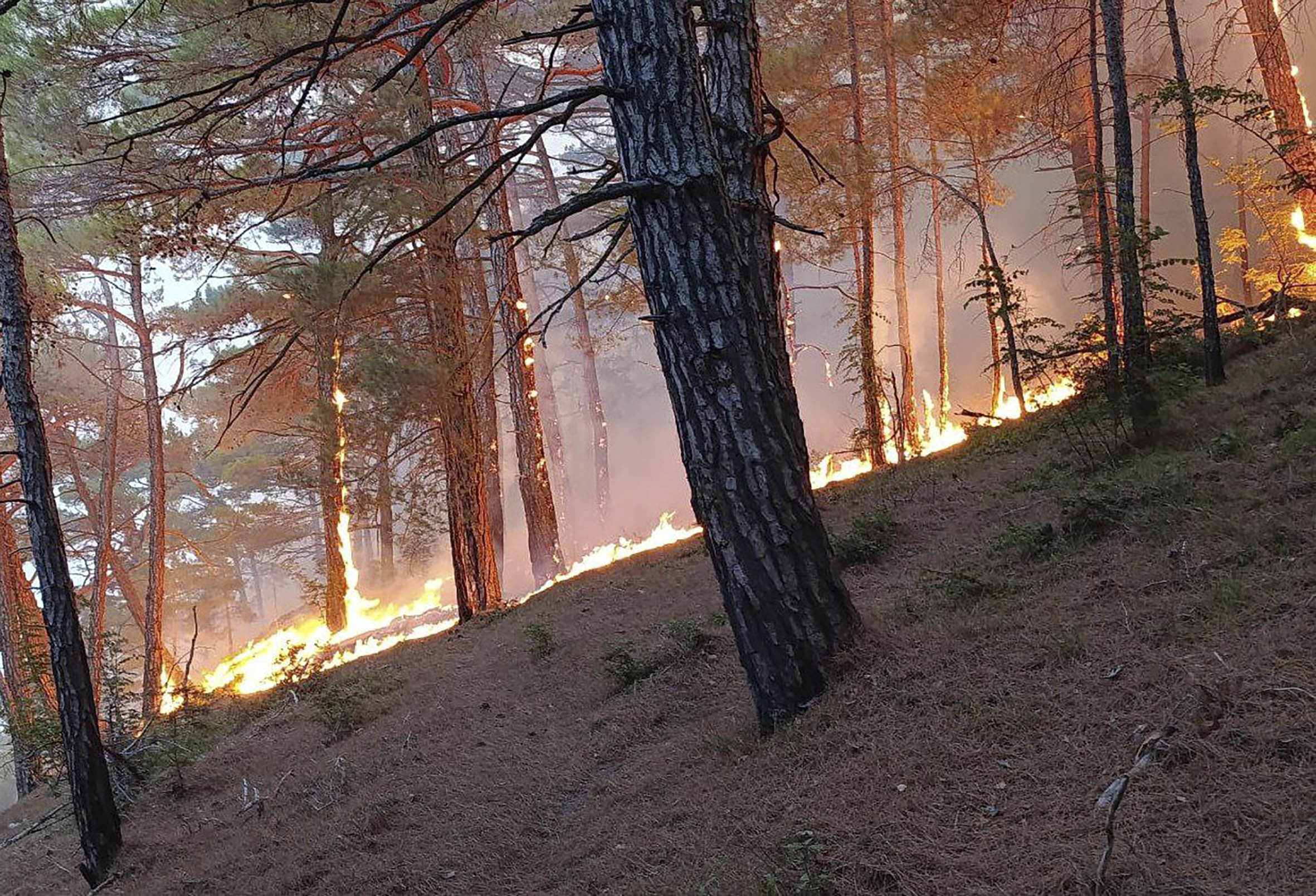 Incendiu pe coasta Mării Negre, în apropierea vilei lui Putin, în urma prăbușirii unei drone. Peste 100 de pompieri ruși mobilizați