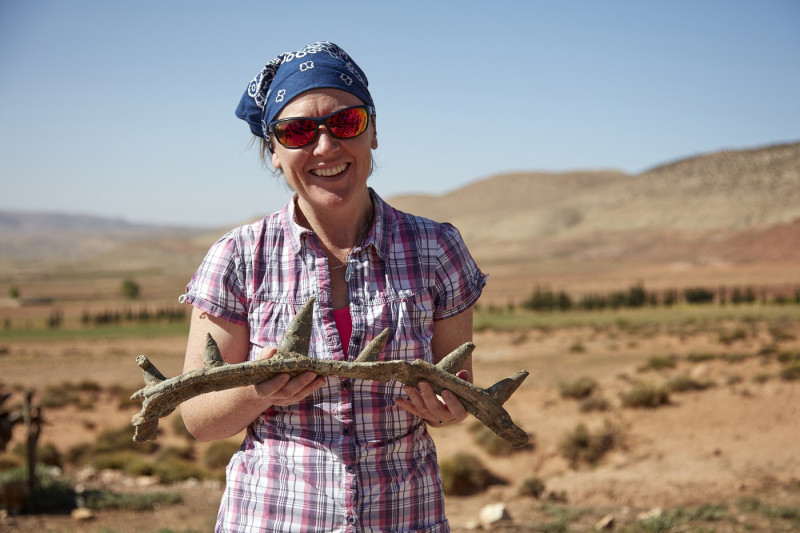 paleontolog-fosile-maroc
