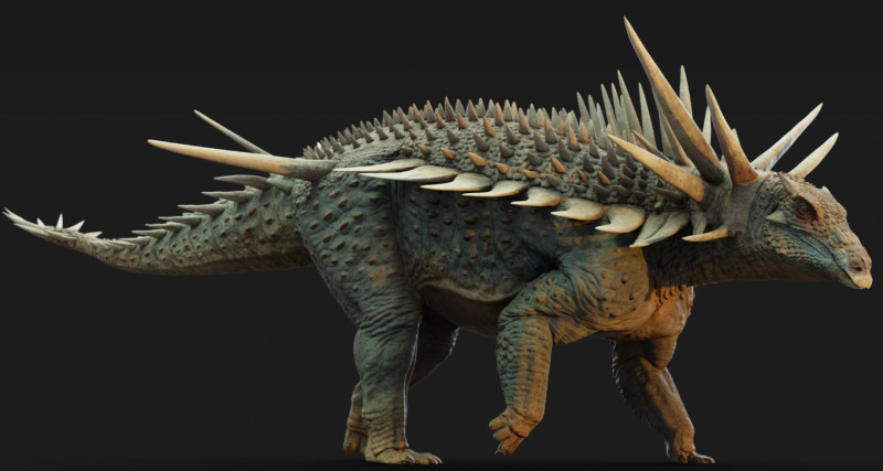 ilustrație-dinozaur-Spicomellus-afer-2
