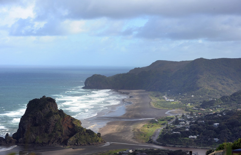 piha-noua-zeelandă (2)