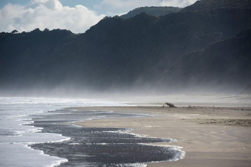 A small lean-to for shelter from the sun built by surfer's at Piha beach near Auckland, New Zealand.