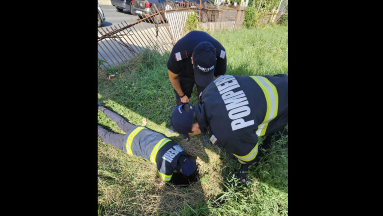 Pompierii au salvat un câine căzut în canal. ISU cere „semnalizarea zonelor cu risc, vizibilă atât pentru oameni cât și pentru animale”