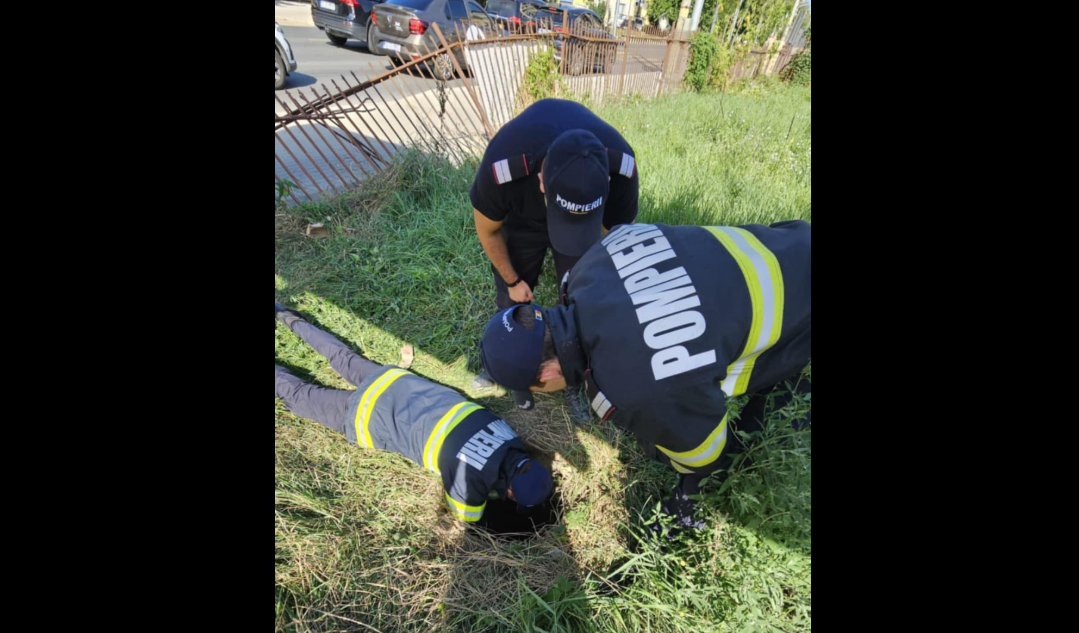 Pompierii au salvat un câine căzut în canal. ISU cere „semnalizarea zonelor cu risc, vizibilă atât pentru oameni cât și pentru animale”
