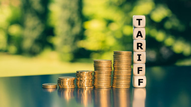 taxe sua inflatie somaj germania