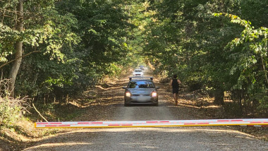masini la bariera pe un drum forestier si un alergator