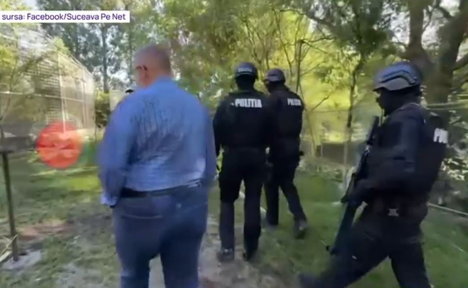 VIDEO Intervenție cu mascații la grădina zoologică din Suceava, după ce mai mulți copii au fost răniți de animale sălbatice