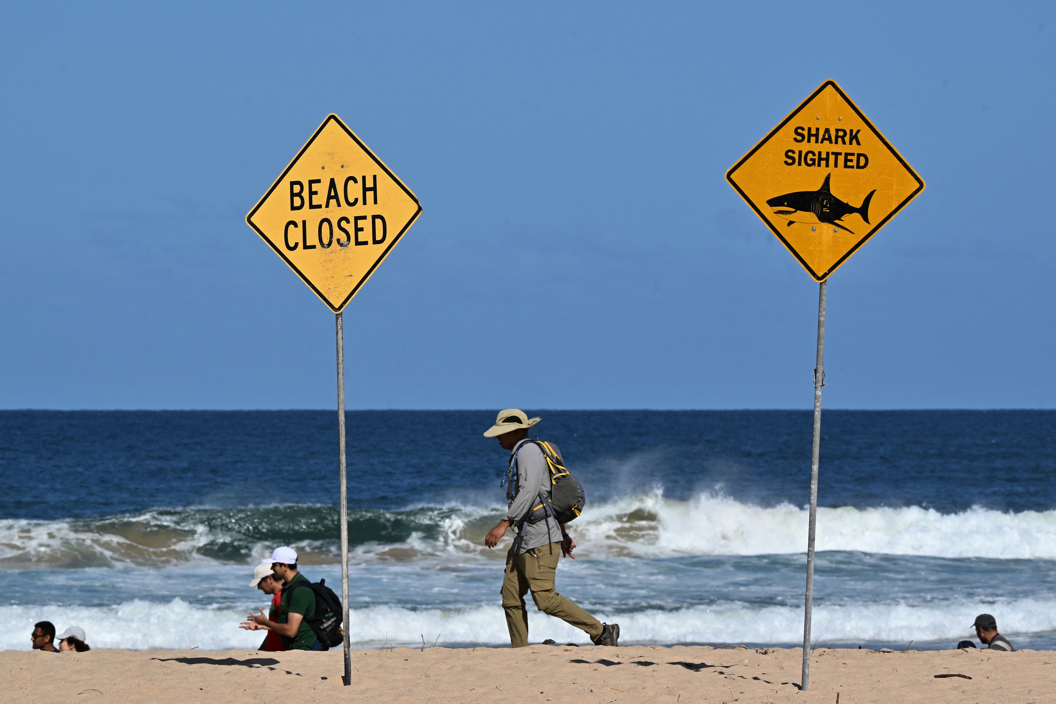 Un surfer a fost ucis de un rechin, în Australia. Este primul astfel de atac mortal în Sydney din 2022 încoace