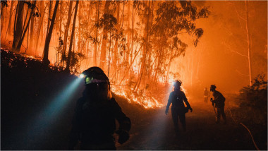 incendiu de vegetație