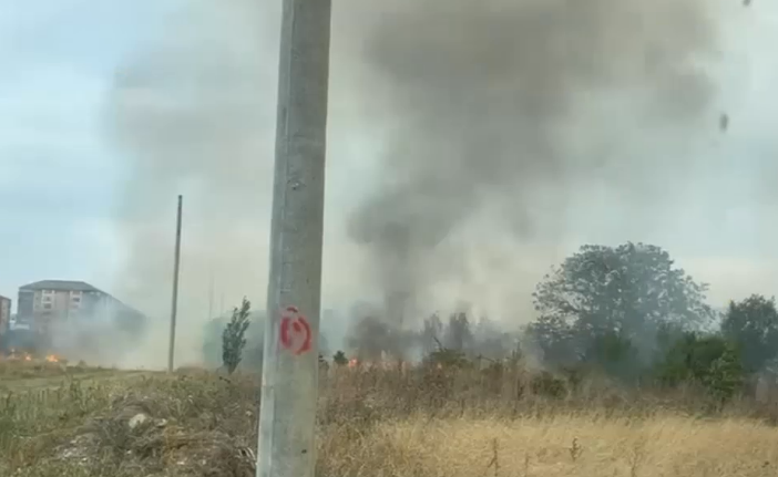 Gest extrem al unui bărbat alergic la ambrozie: A dat foc unui de teren de 25 de hectare de la marginea Capitalei