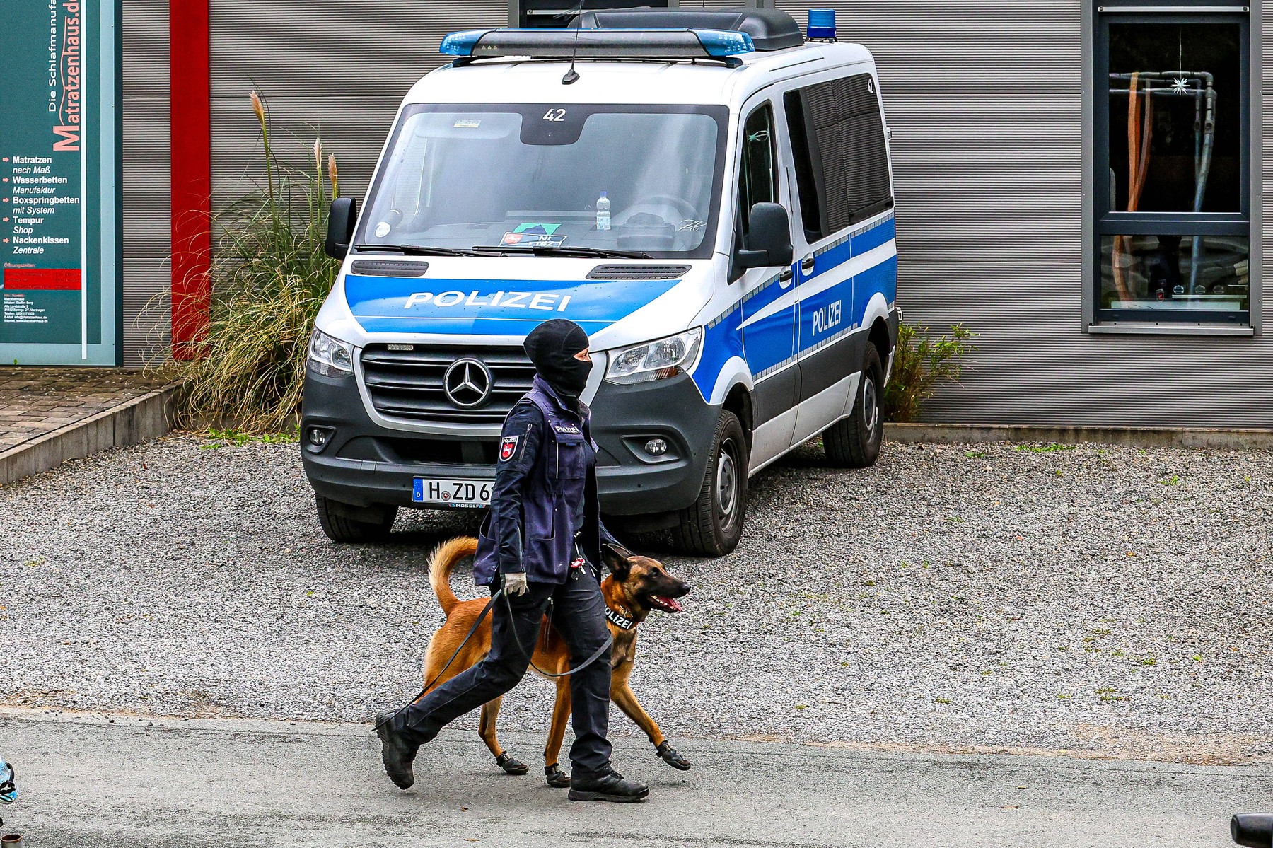 Percheziții în Germania la o grupare de extremă dreaptă. S-au găsit arme, muniţie, bani lichizi şi materiale cu potențial exploziv