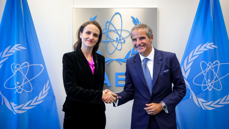 oana toiu rafael grossi