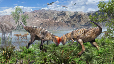 domed-dinosaur-pachycephalosaurs-headbutting-reconstruction-full-width-pr.jpg.thumb.1920.1920