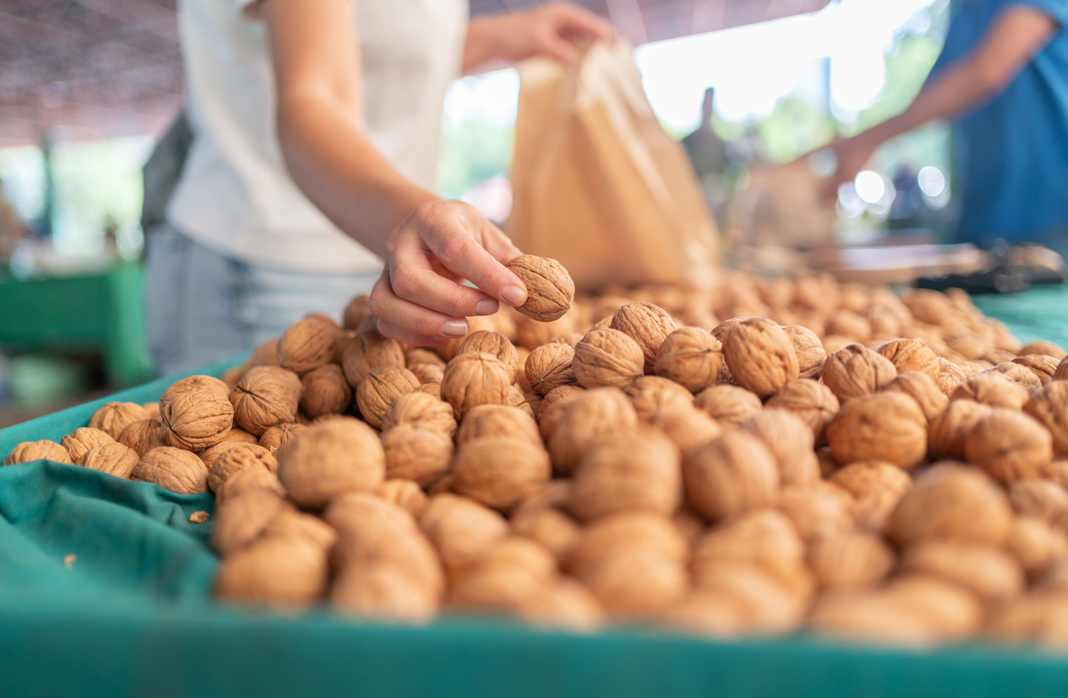 Producția de nuci, afectată de secetă. Județul unde vremea extremă a redus recolta cu 70%, anul acesta