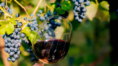 struguri si un pahar de vin rosu