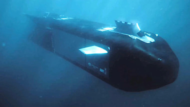 Ghost shark