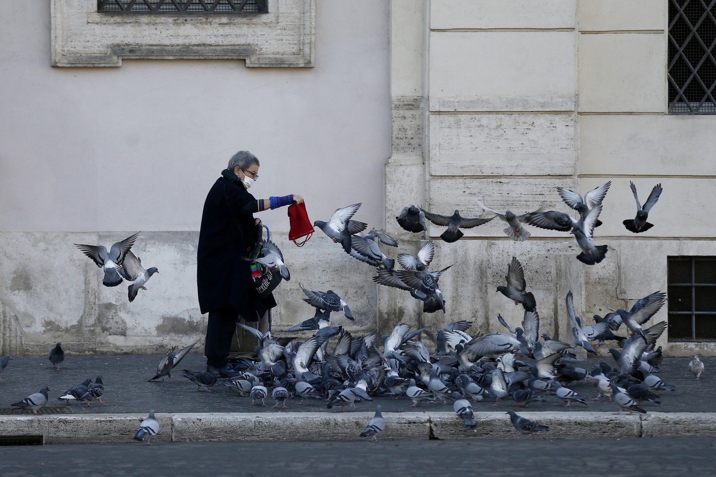 O femeie a primit interdicție de la primarul Romei să mai hrănească porumbeii care terorizau vecinii