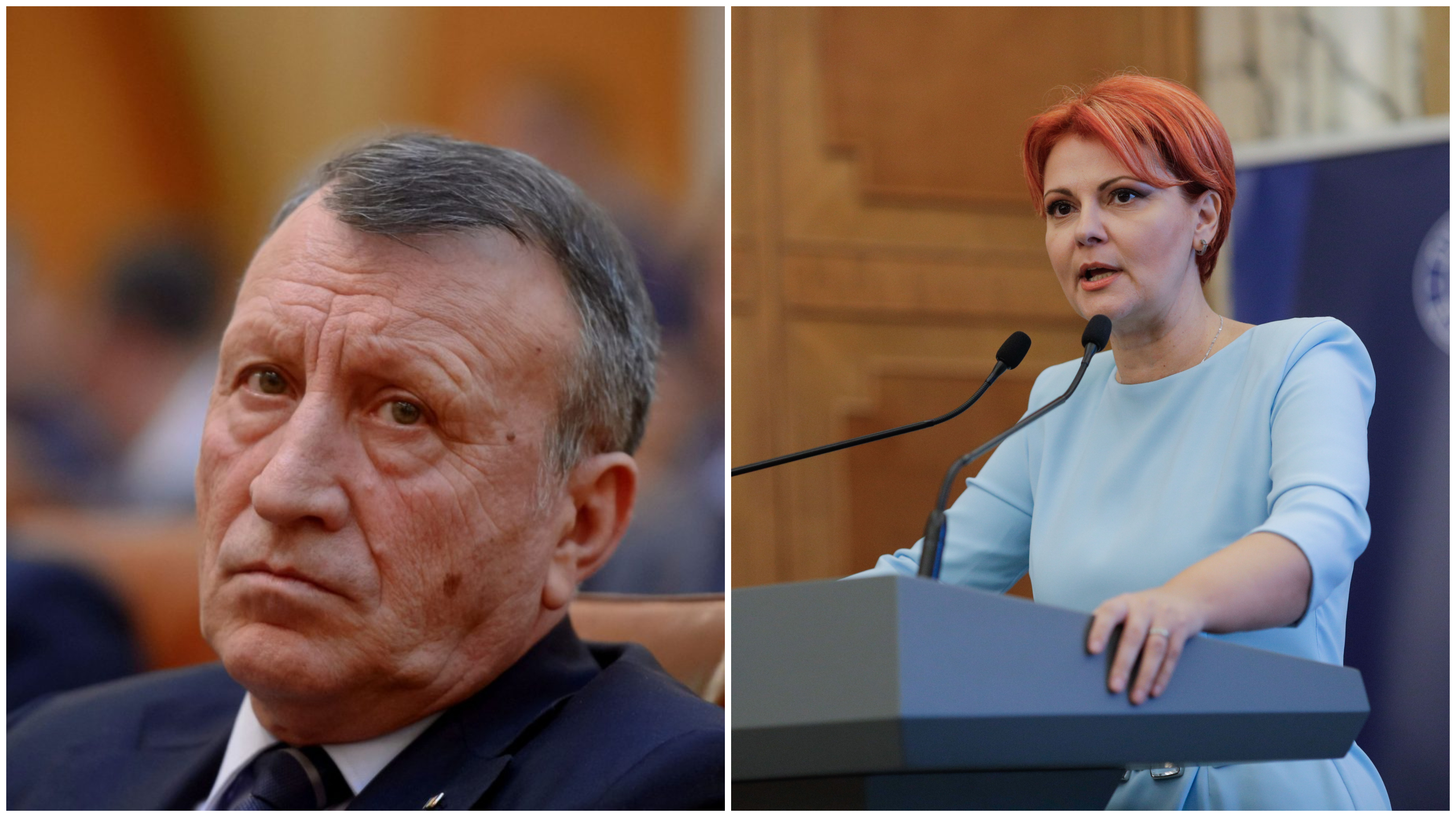 Dispute în PSD. Surse: Fratele lui Paul Stănescu a fost înlocuit de la ADR Oltenia de către un apropiat al Liei Olguța Vasilescu